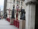 IMG_0185