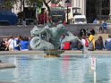 IMG_0248