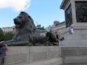IMG_0253
