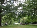 IMG_0261