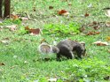IMG_0264