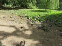 IMG_0266