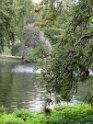 IMG_0270