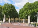 IMG_0279