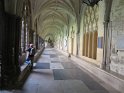 IMG_0299
