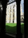 IMG_0301
