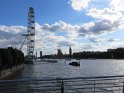 IMG_0334