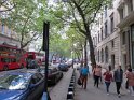 IMG_0339