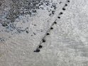 IMG_0401