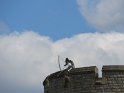 IMG_0405