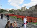 IMG_0406