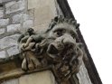IMG_0437