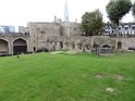 IMG_0443