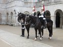 IMG_0484