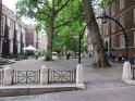 IMG_0564
