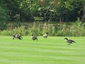 IMG_0687