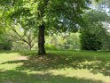 IMG_0692