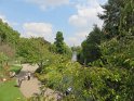 IMG_0699