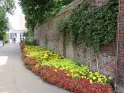 IMG_0708