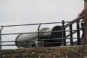 IMG_9623
