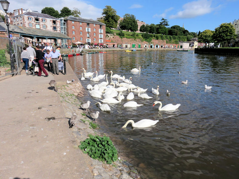 Exeter