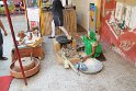 IMG_3783