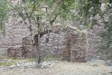 IMG_3811