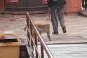 IMG_3966