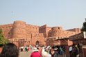 IMG_3969