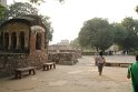 IMG_2877