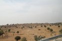 IMG_3071