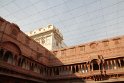 IMG_3109