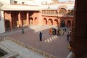 IMG_3154