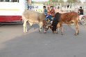 IMG_3178