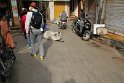 IMG_3282