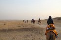 IMG_3329