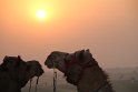 IMG_3350