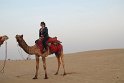 IMG_3355