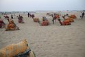IMG_3364