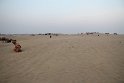 IMG_3365