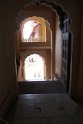 IMG_3441