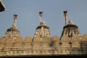 IMG_3519