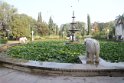 IMG_3576