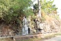 IMG_3590