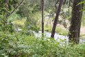 IMG_4101