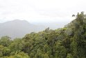 IMG_4110