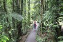 IMG_4115