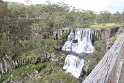 IMG_4117