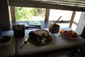 IMG_4086