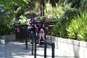 IMG_2659